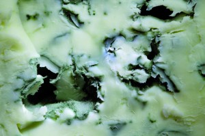 gorgonzola