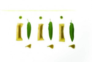 campoli ricetta