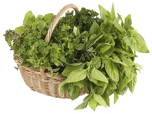 erbe-aromatiche-in-cesta1