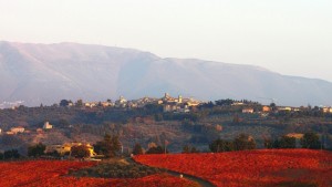 Montefalco, le colline dell'Umbria la terra del Sagrantino